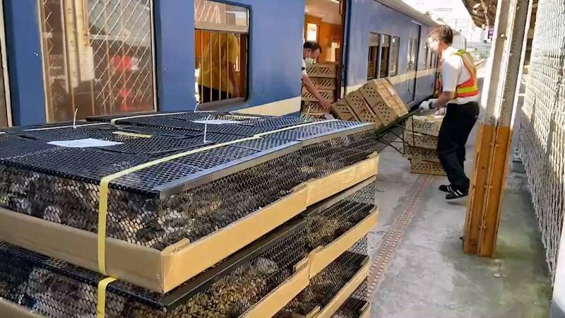 台鐵行包車混運雞鴨鼠與農產食品 動保揭疫病、食安風險