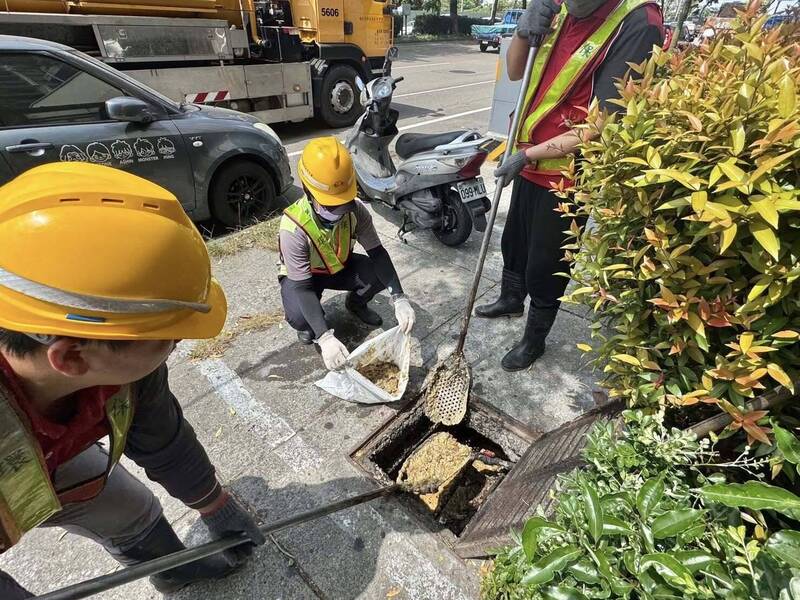 台中滅鼠總動員！盧秀燕：查獲老鼠未改善 罰單6萬起跳