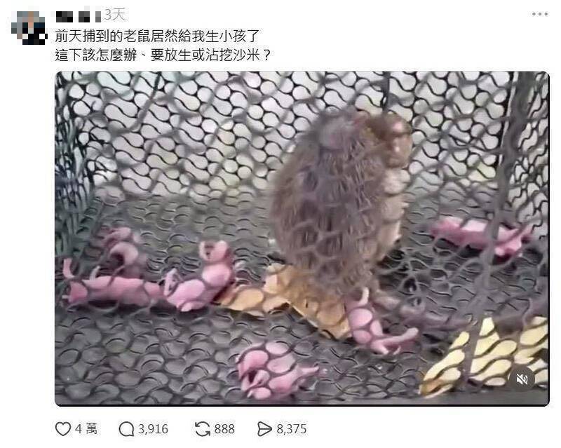 [圖]