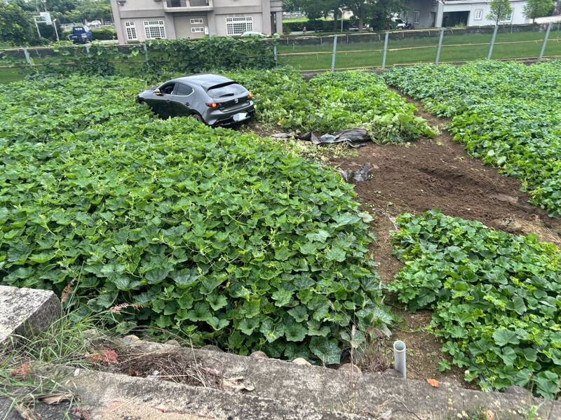驚險瞬間曝光!苗栗轎車閃車衝入菜田 駕駛涉酒駕送辦