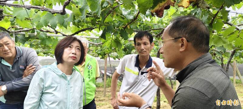 直搗江啟臣地盤！何欣純石岡會勘農損 巧遇江啓臣姐夫