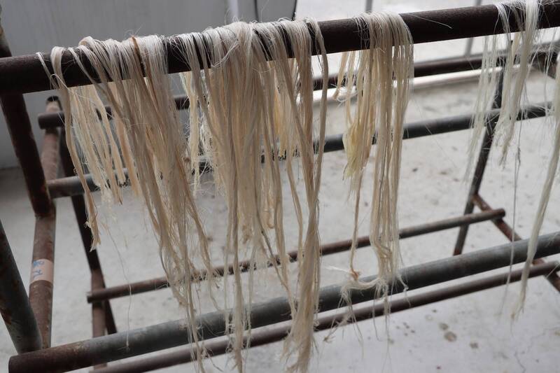 香蕉假莖變身織品原料 農糧署助蕉研所打造自動取纖循環場
