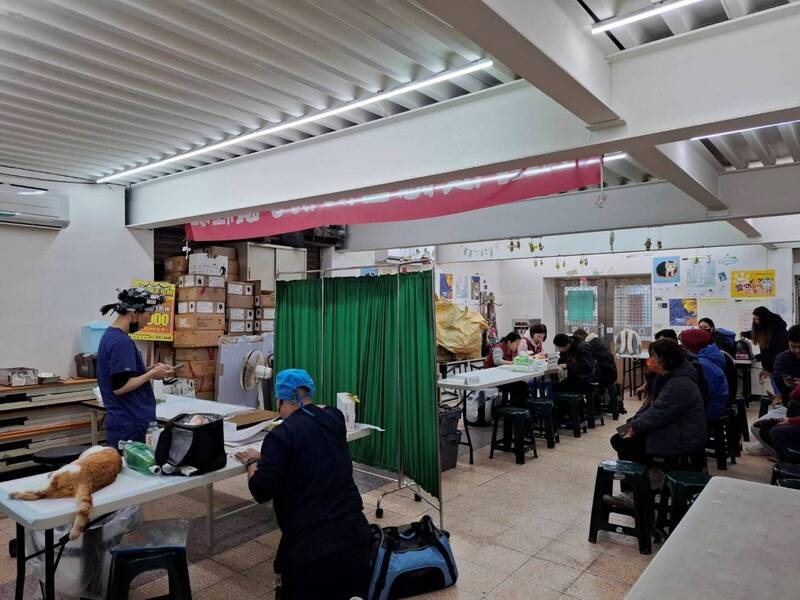 新北市免費混種犬貓絕育開跑 動保處：名額有限儘速報名