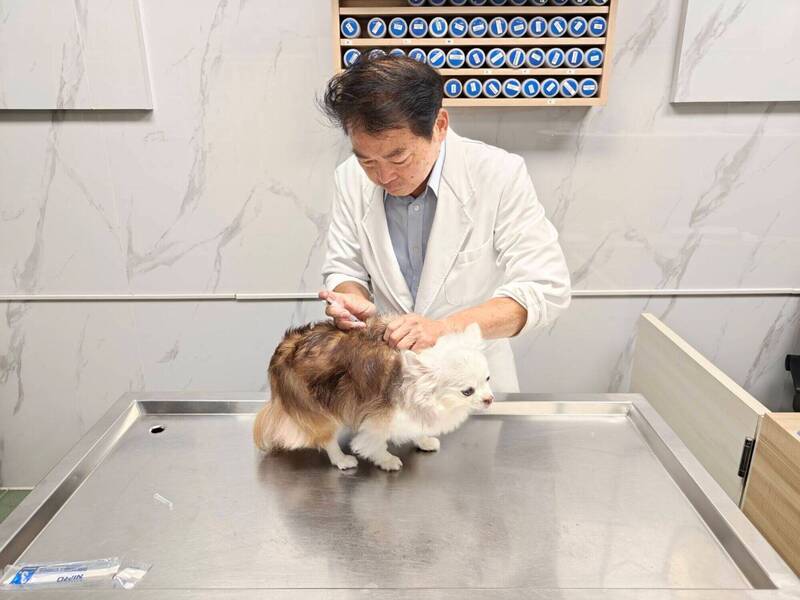 預防狂犬病「二不一要」 新北動保:家犬每年應補打疫苗