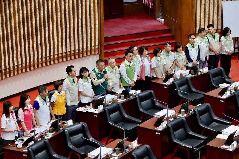 藍白彈劾總統案沒過 高雄綠營嗆柯志恩立場錯亂