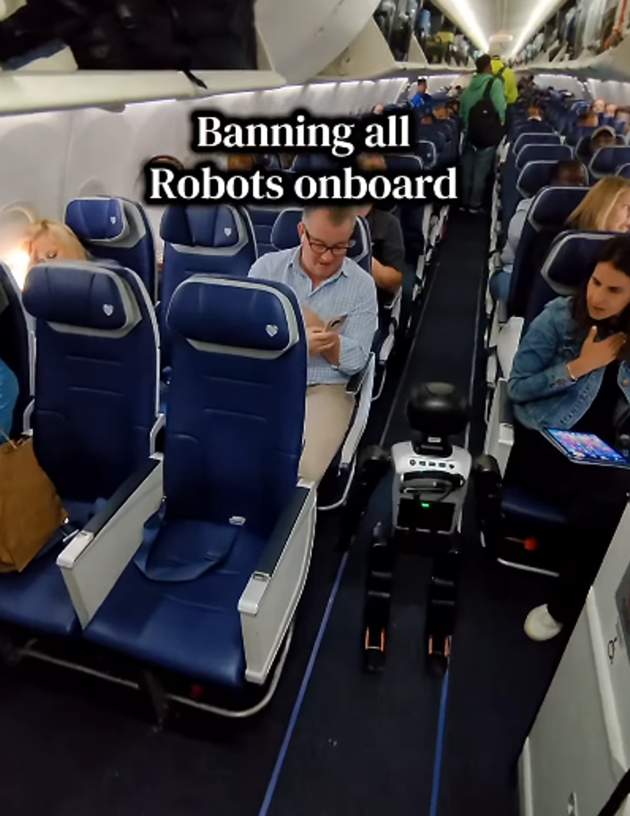 沒有「人權」! 西南航空宣布 禁止人形、動物外型機器人搭機