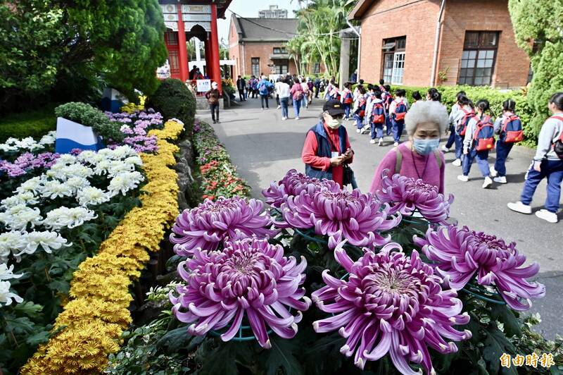 「花IN台北」挨轟行銷浮濫、效益「幽靈推估」 公園處曝經費用途