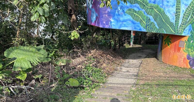 半小時攻頂!台中蜈蚣崎登山步道揮別風災 5/19回歸