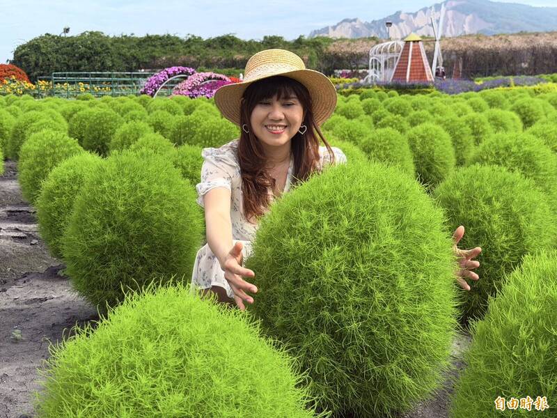中社花市波波草吸引遊客環抱拍照。（記者張軒哲攝）