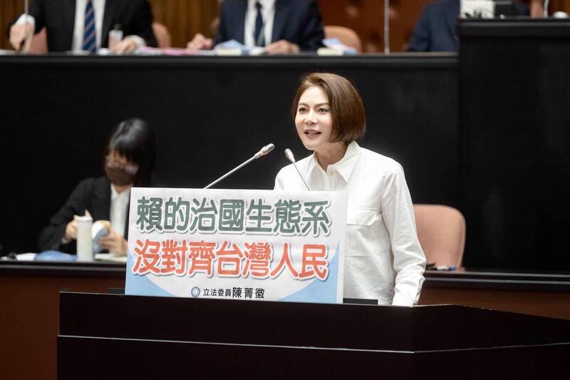 藍委立院國是論壇「伯洋體」發言 徐巧芯稱已經很多人在模仿