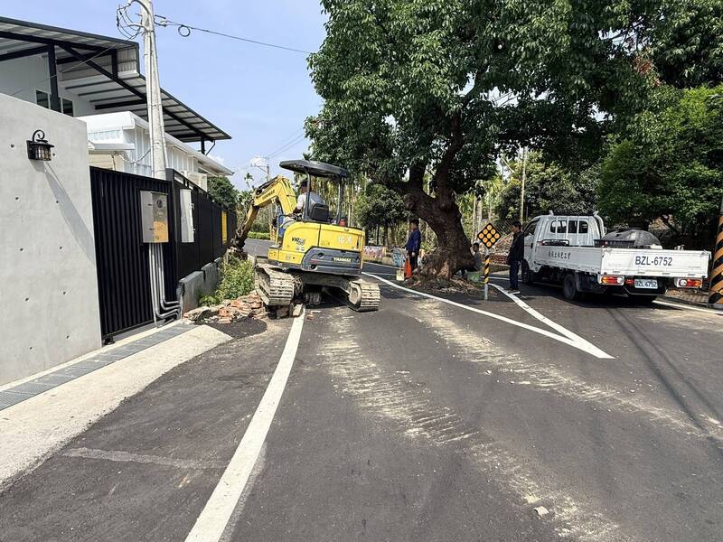 屏東佳冬的茄苳長得像「摩艾石像」 女斥資1500萬買宅退縮1公尺護樹
