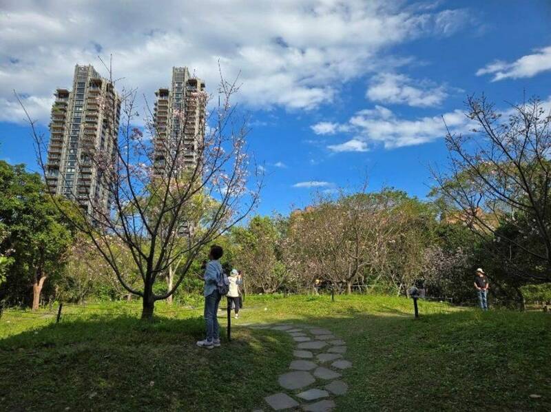 10縣市防高溫 全台最熱台北大安森林公園正午37.4度