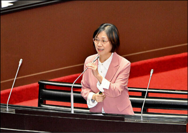 翁曉玲酸出國辦「黨務」 國安會搬馬政府打臉:事涉敏感從不公開