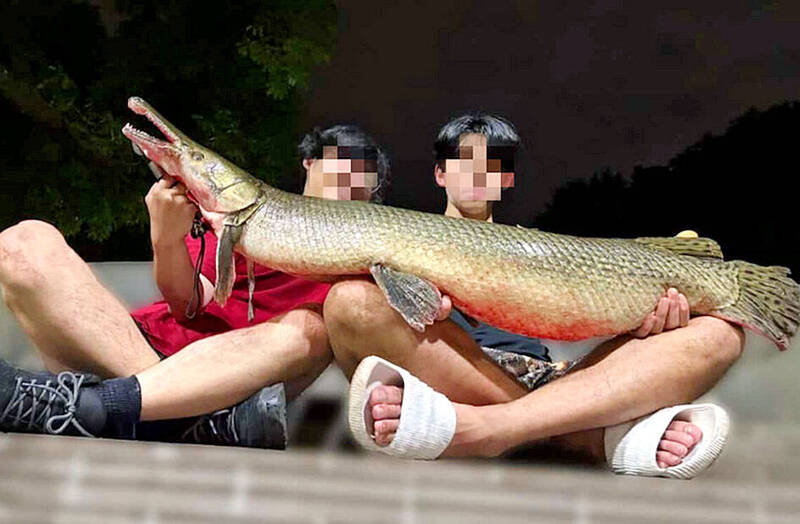 《TAIPEI TIMES》 Pair of anglers to be fined for eating fish from 228 park