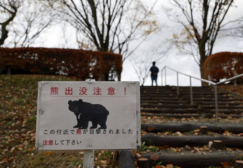 日本山形縣38年來首起熊襲致死!熊隻胃裡發現人體遺骸