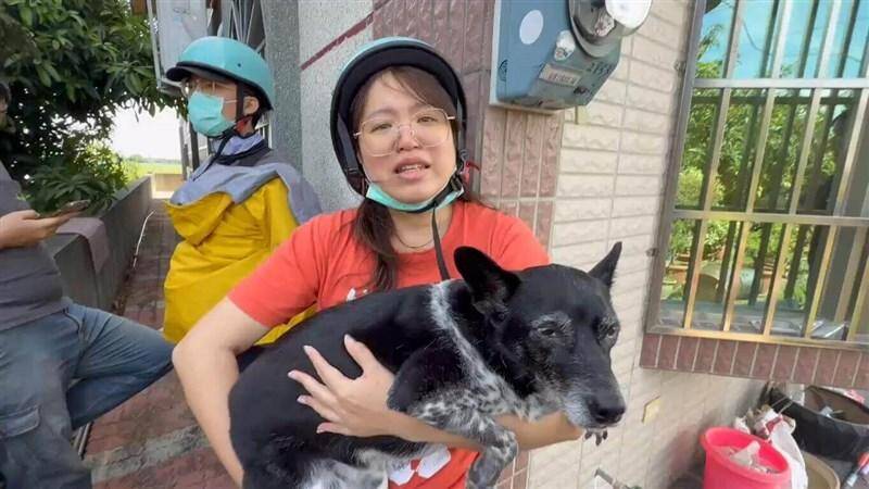 《TAIPEI TIMES》 Lost dog found in Yunlin after owner offers NT$500,000 reward