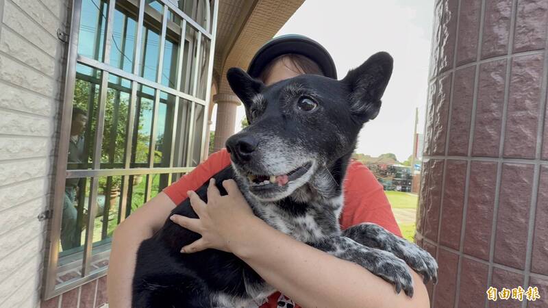 「陳美琪」找到了50萬獎金有給嗎? 飼主發聲喊:要開始吃土了
