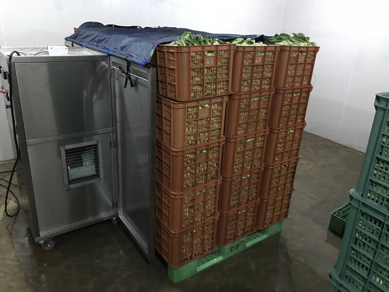 桃園場研發新預冷技術 助夏季空心菜保存
