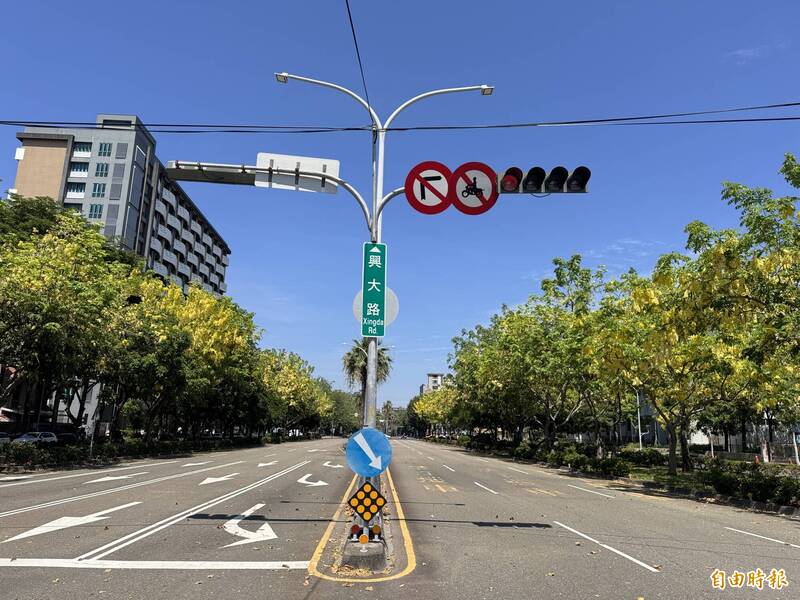 中市南區興大路阿勃勒盛開 吸引民眾賞花打卡