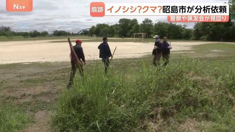 日本東京都這公園熊出沒?驚見「巨大便便」