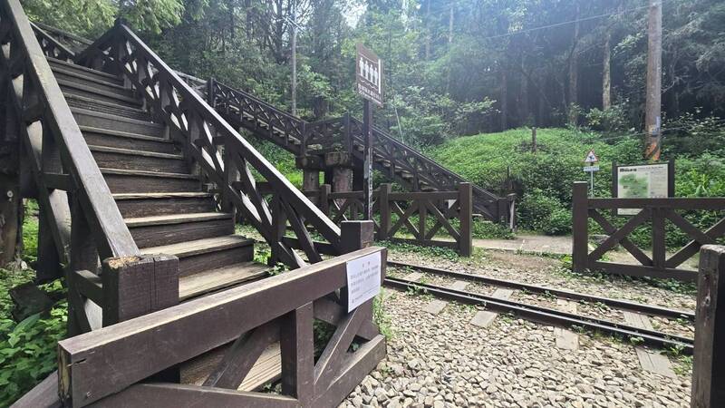 山友注意！阿里山塔山步道 7/1起全線封閉整修1年