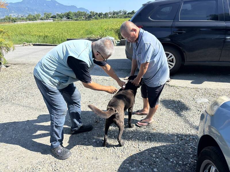 台東5月連現3例狂犬病鼬獾 1隻咬傷高雄遊客