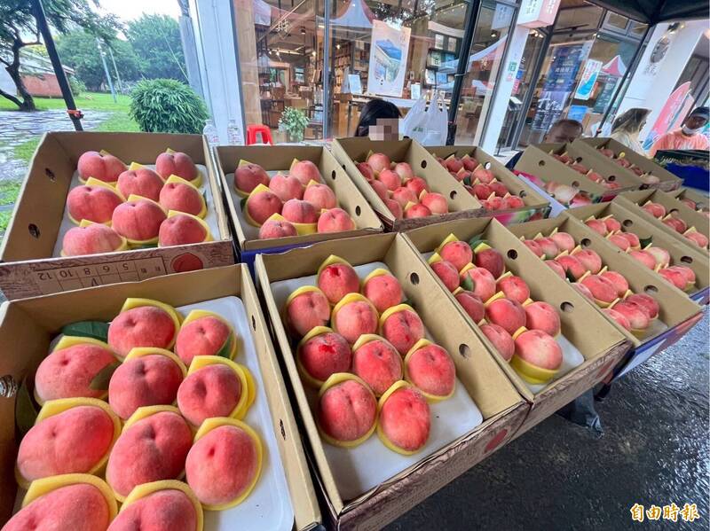 初夏甜蜜滋味來了！ 五峰甜桃節竹北新瓦屋明起登場