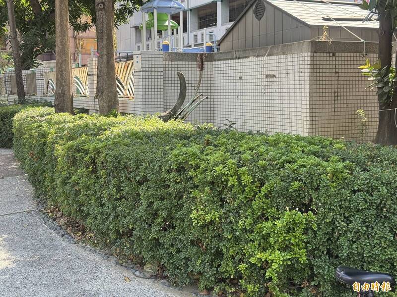 高雄國小師墜樓案 學年主任發7點心聲回應「網暴」