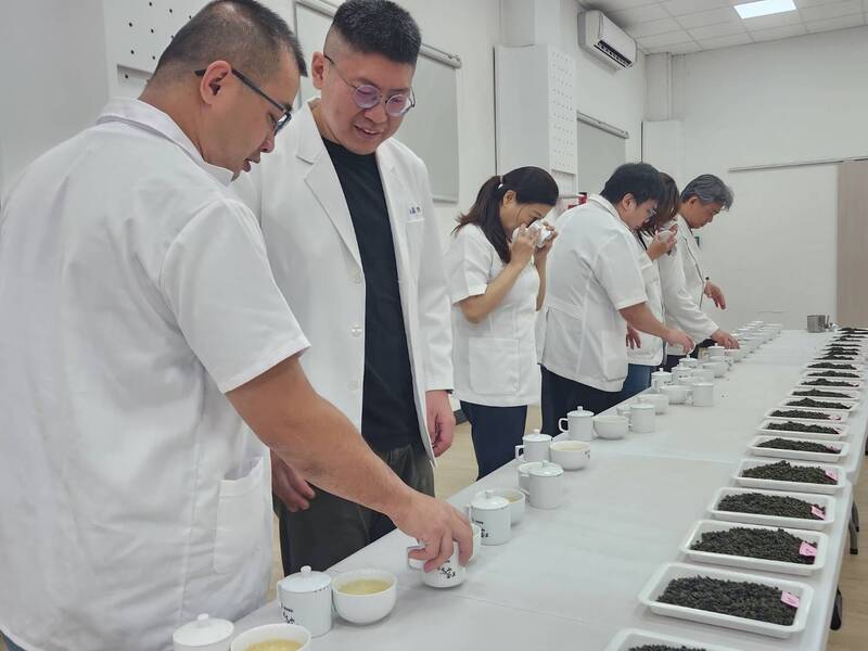 仁愛鄉「台灣高山王」春茶評鑑競賽,多位評審專家逐一品評。(仁愛鄉農會提供) 仁愛鄉「台灣高山王」春茶評鑑競賽,多位評審專家逐一品評。(仁愛鄉農會提供)