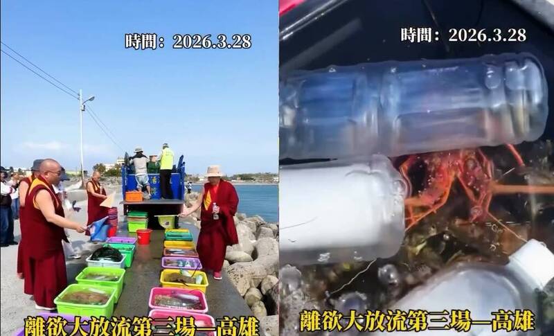 放生團體預告放流大量海鮮！網友暴動喊衝現場「加菜」