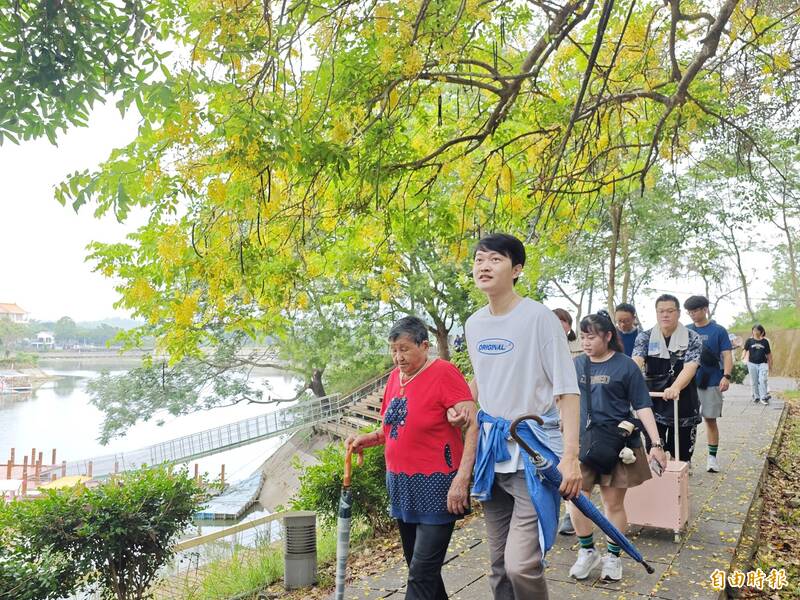 台灣第一水庫阿勃勒綻放 黃金花雨健走登場