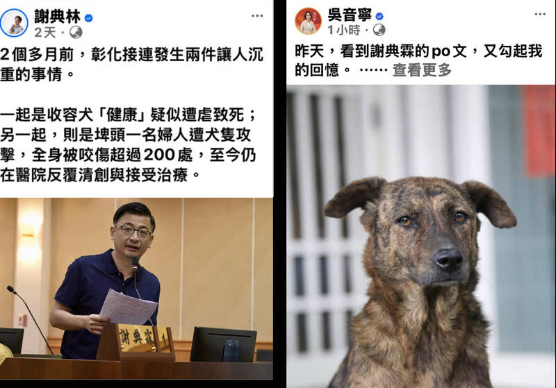 彰化惡犬咬人謝典霖要縣府給辦「法」 吳音寧不忍了:當年誰在擋?