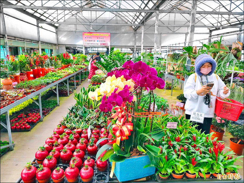 無證賣種苗最高罰30萬 嚇跑「綠手指」/農糧署:商品目的非為繁殖所用 不需要登記證