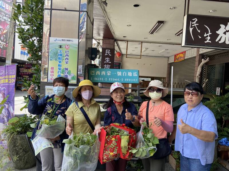 有機白地瓜推廣13年不停歇 竹山免費送千盆種苗