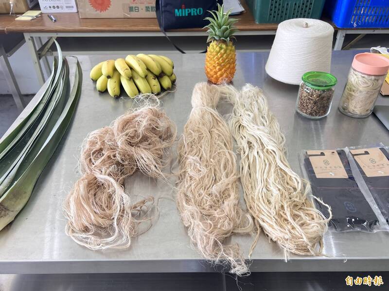 鳳梨葉取纖後可製成織品原料,進而製成襪子等物品。(記者羅欣貞攝)