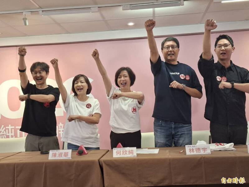 選戰倒數173天 何欣純公布4位發言人群其中一位只有28歲