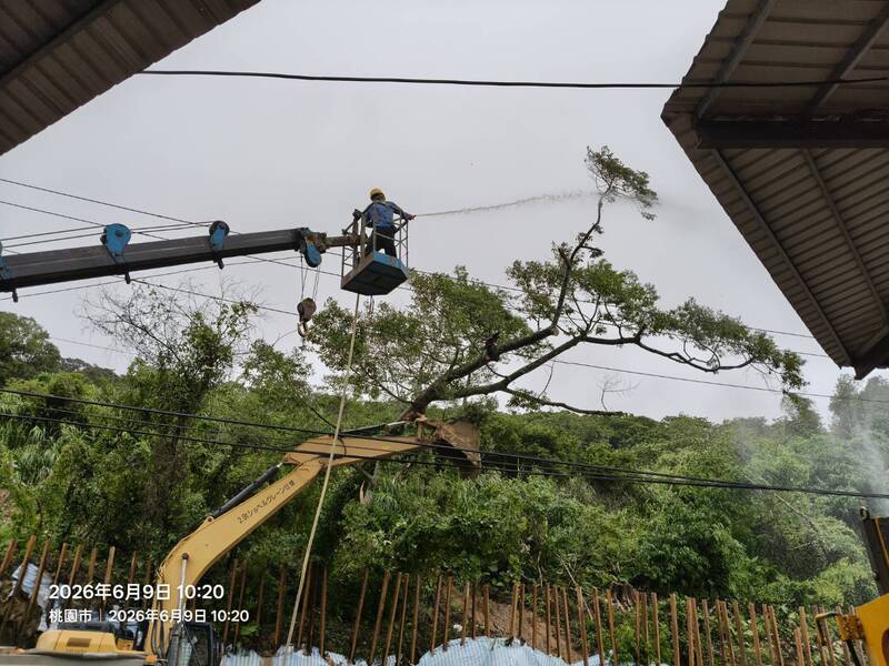快改道！桃園龜山大坑路土石崩坍 樹倒壓電線封路