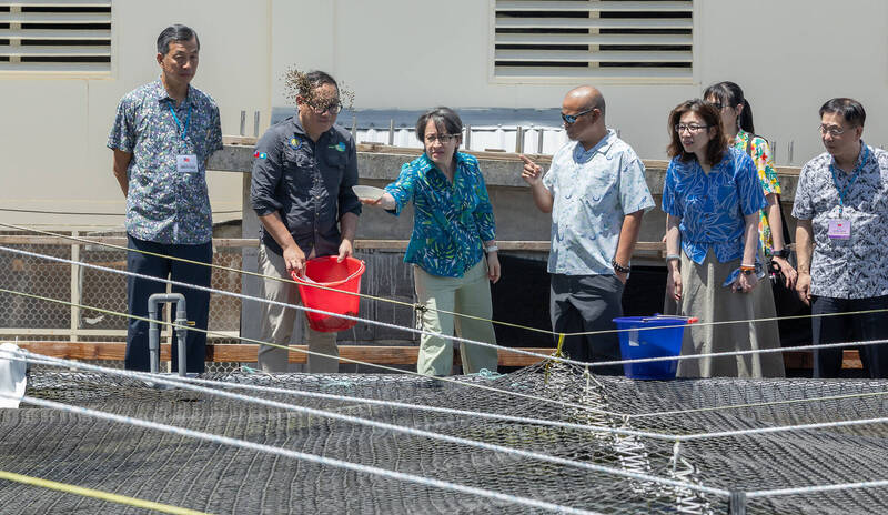 助帛琉養虱目魚、推遠距醫療 蕭美琴：台灣用軟實力拚良善外交