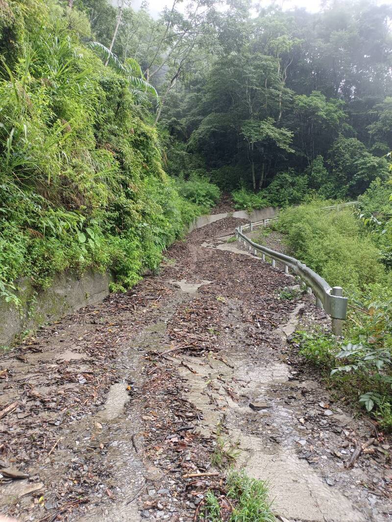南投仁愛鄉雨勢不停！土石流、落石、樹倒災情頻傳