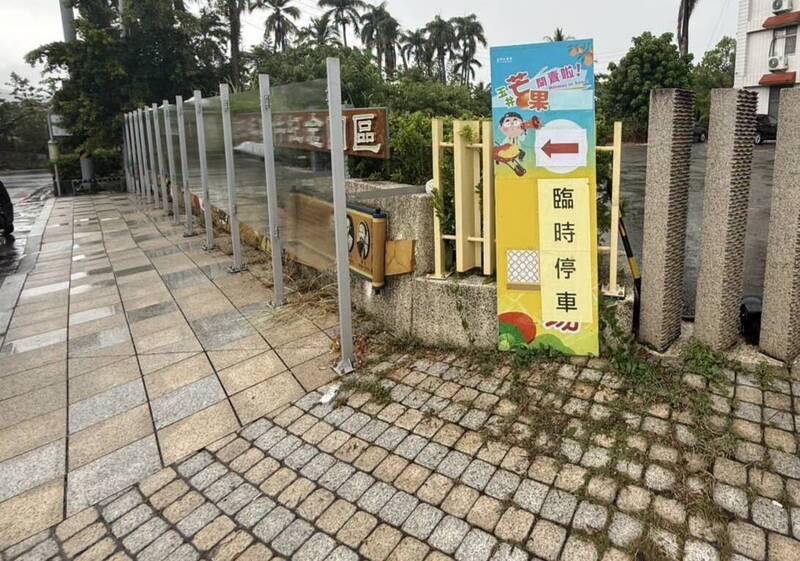 玉井芒果季將登場！公所盤點600停車位 擬定交通疏導應變