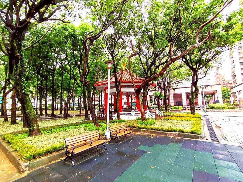 配合中央綠蔭倍增計畫 新北板橋華德公園多元植栽吸熱兼顧美觀