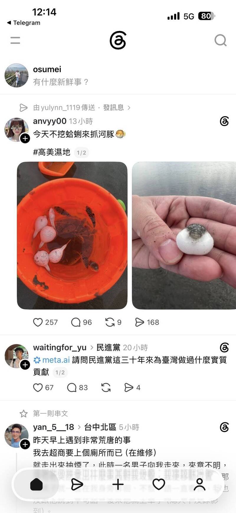民眾到高美濕地抓河豚? 中市府:在永續區雖未違法,呼籲勿捉放