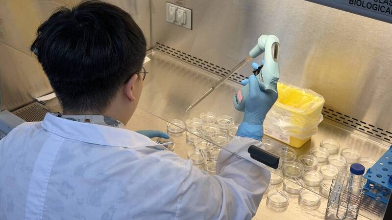 獸醫所導入3R原則確保動物用藥品質 減少實驗動物數量逾6成