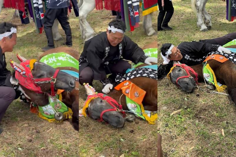祭典小馬拒上工「躺平賴床」 160萬人笑喊:根本星期一的我!