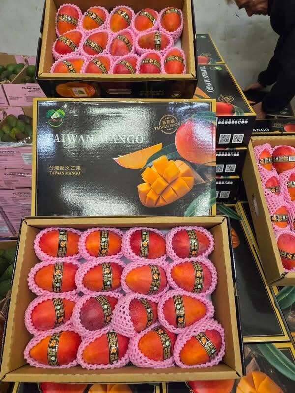 屏東愛文芒果進入法國頂級超市。（許展維提供）