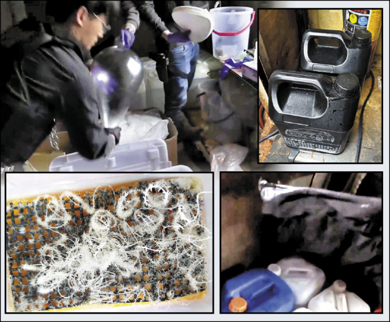 檢調警抄桃園兩製毒廠 黑市價上億/可製喪屍煙彈2.5萬顆、喵喵25萬包