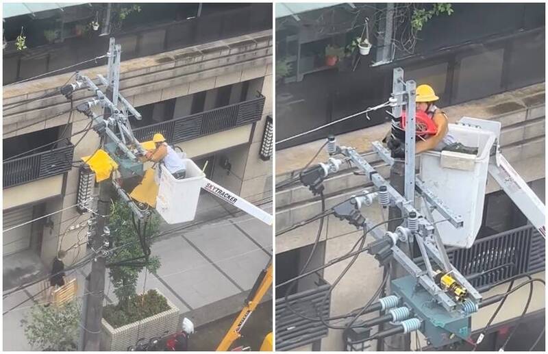 台電人員爬電桿拆除鳥巢 下秒「1舉動」暖爆數萬人!