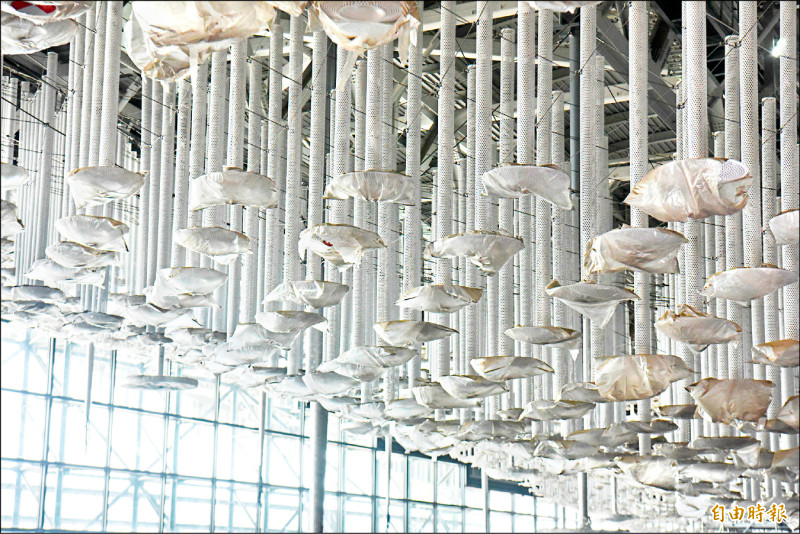 桃機三航廈 新內裝曝光 14萬朵浮雲打造「雲頂天花」