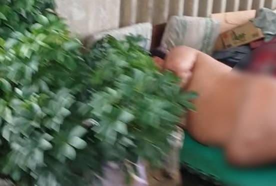 高雄男子高架橋下脫光光睡覺 網驚:以肉身養蚊