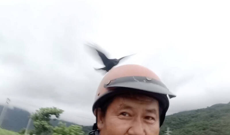 被巴頭到習慣，乾脆錄下當時發生情況。（蘇博文提供）